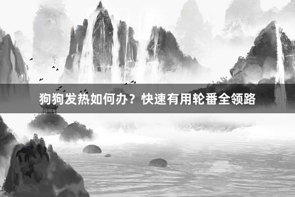 狗狗发热如何办?快速有用轮番全领路