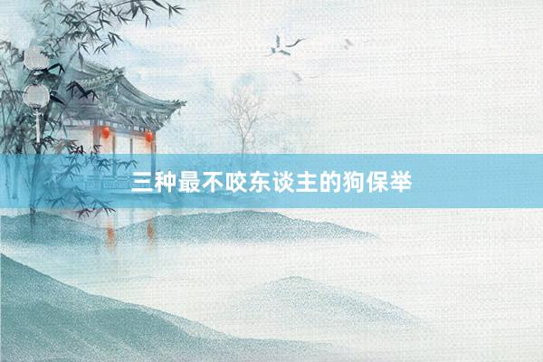 三种最不咬东谈主的狗保举